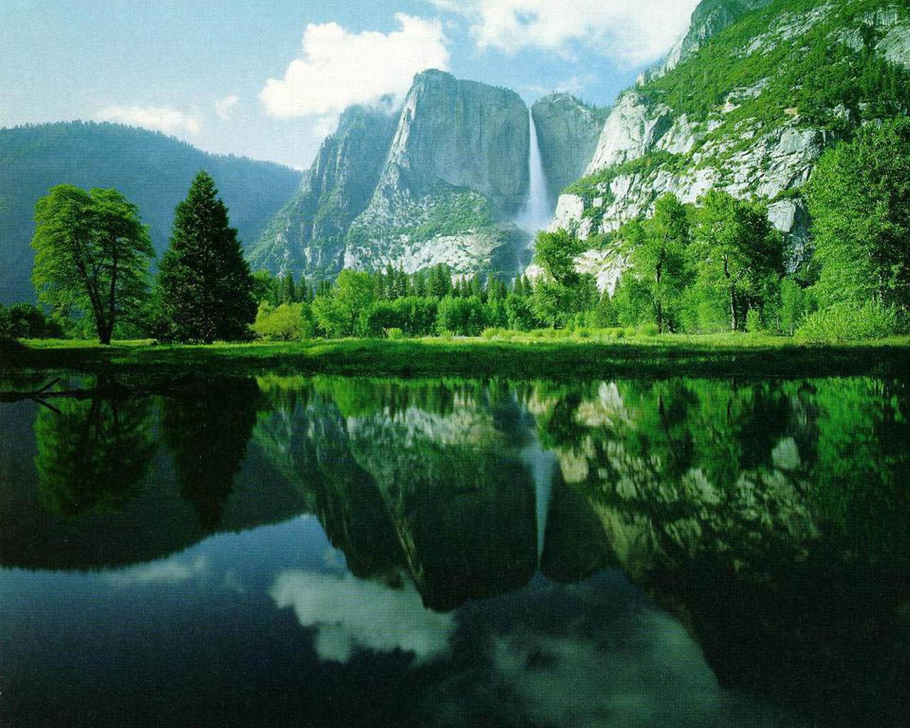 Fondo